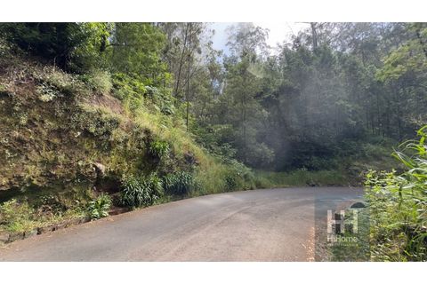 Земельный участок в Фуншал, Португалия № 190185