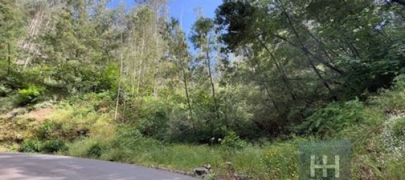 Земельный участок в Фуншал, Португалия № 190185 10