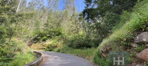 Земельный участок в Фуншал, Португалия № 190185 9