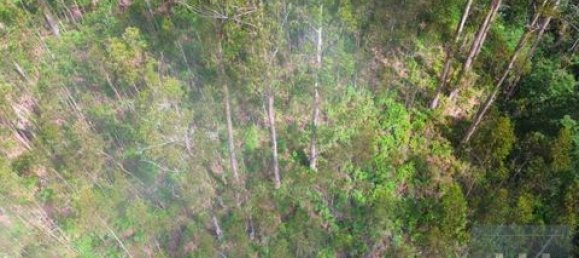 Земельный участок в Фуншал, Португалия № 190185 21