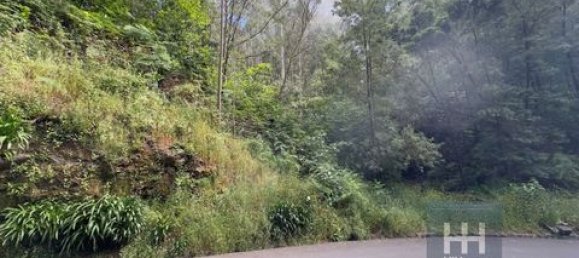 Земельный участок в Фуншал, Португалия № 190185 4