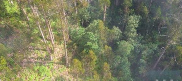 Земельный участок в Фуншал, Португалия № 190185 18