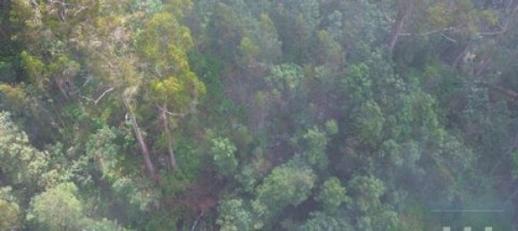 Земельный участок в Фуншал, Португалия № 190185 12