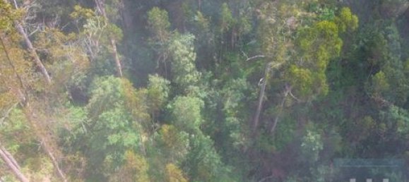 Земельный участок в Фуншал, Португалия № 190185 15