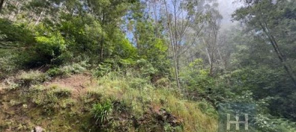 Земельный участок в Фуншал, Португалия № 190185 5