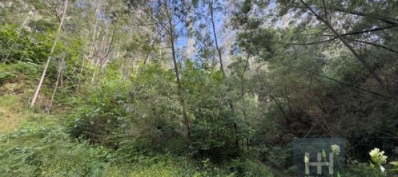 Земельный участок в Фуншал, Португалия № 190185 8