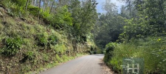 Земельный участок в Фуншал, Португалия № 190185 2