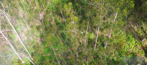 Земельный участок в Фуншал, Португалия № 190185 22