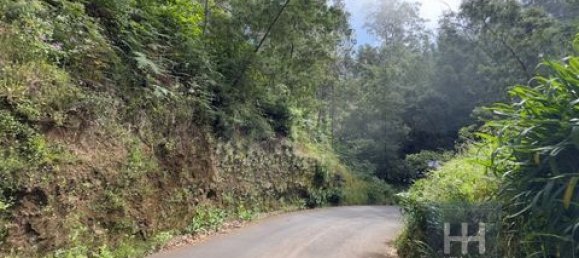 Земельный участок в Фуншал, Португалия № 190185 3