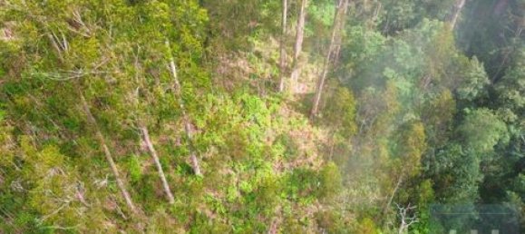 Земельный участок в Фуншал, Португалия № 190185 13