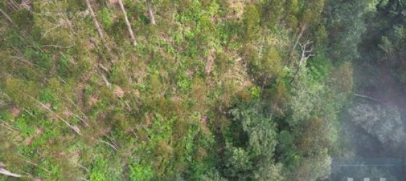 Земельный участок в Фуншал, Португалия № 190185 11