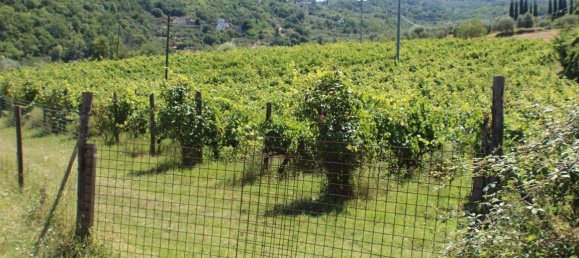 6 bedrooms Villa in Rufina, Italy No. 295178 20