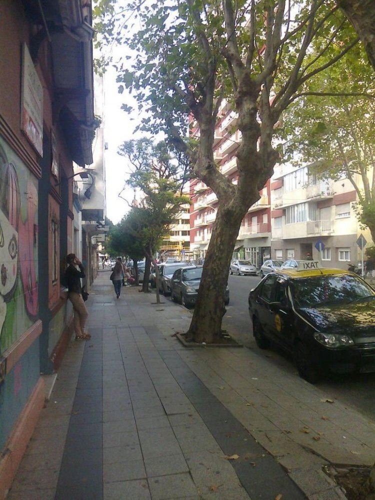 5 bedrooms House in Mar del Plata, Argentina No. 67557