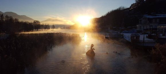 Apartamento de 1 dormitorio en Seeboden am Millstatter See, Austria No. 78488 15