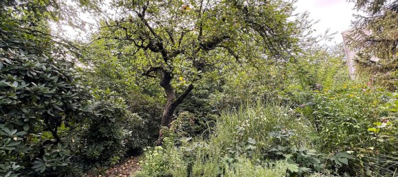 3 Schlafzimmer Haus in Nienburg, Germany, Nr. 136814 3