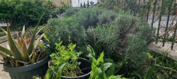 6 rooms House in Colle di Val d'Elsa, Italy No. 150417 22