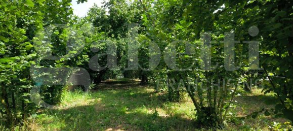  قطعة أرض في Fabrica di Roma, Italy 3710متر مربع رقم 275242 5