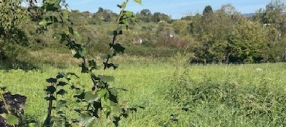 446m² Land in Bouxieres-aux-Chenes, France No. 75441 3