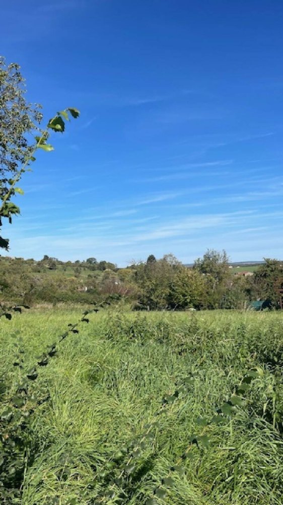 446m² Land in Bouxieres-aux-Chenes, France No. 75441