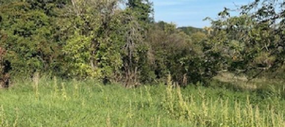 446m² Land in Bouxieres-aux-Chenes, France No. 75441 2