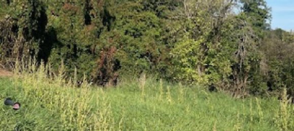 446m² Land in Bouxieres-aux-Chenes, France No. 75441 5