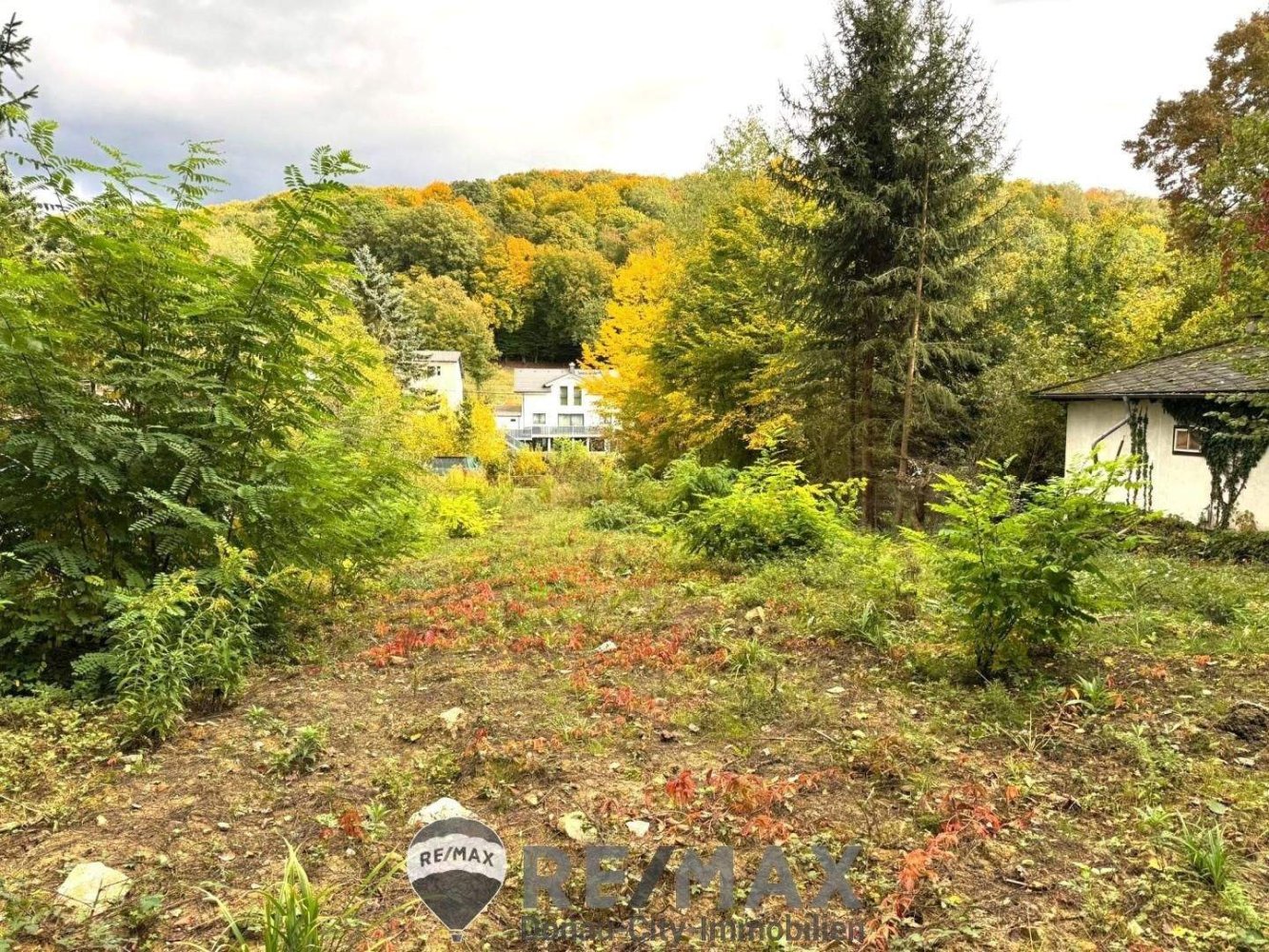  Land in Mauerbach, Austria No. 76098