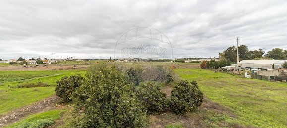 5 bedrooms House in Montijo, Portugal No. 21988 30