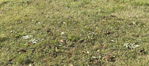 688m² Land in Paudorf, Austria No. 239352 5