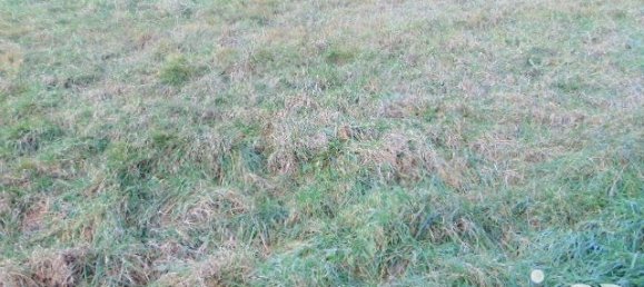  Land in Tramole, France No. 88695 3