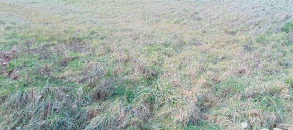  Land in Tramole, France No. 88695 2