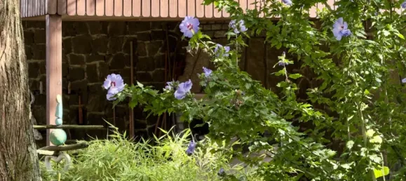 2 Schlafzimmer Bungalow in Barnim, Germany, Nr. 284688 13