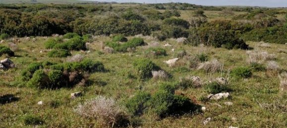 1750m² Land in Vila do Bispo, Portugal No. 73056 7