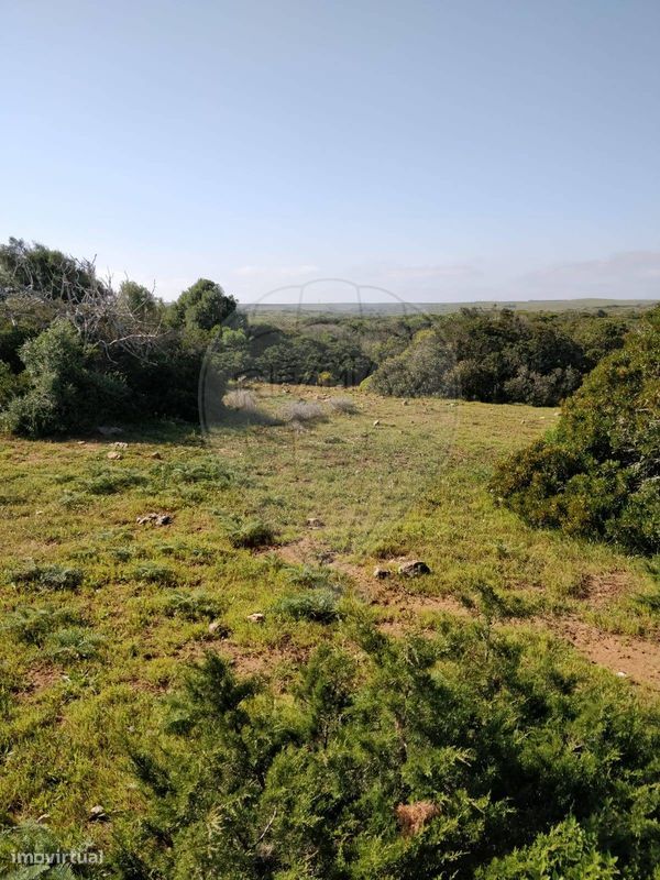 1750m² Land in Vila do Bispo, Portugal No. 73056