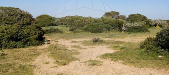 1750m² Land in Vila do Bispo, Portugal No. 73056 5