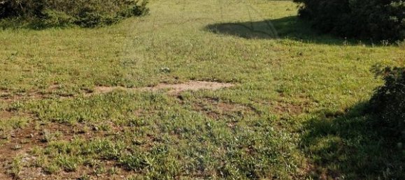 1750m² Land in Vila do Bispo, Portugal No. 73056 8