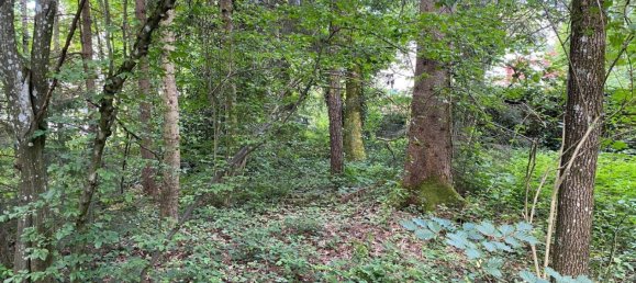 5 rooms Villa in Ebersberg, Germany No. 179859 5