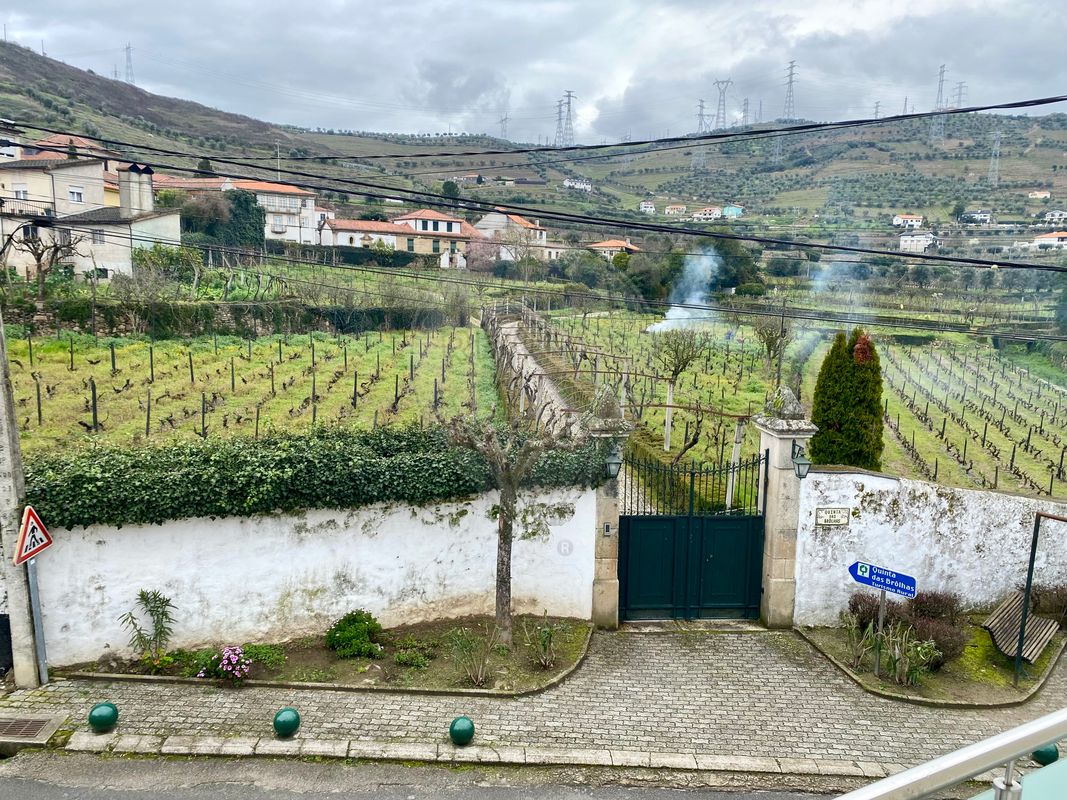 2 bedrooms House in Lamego, Portugal No. 157962