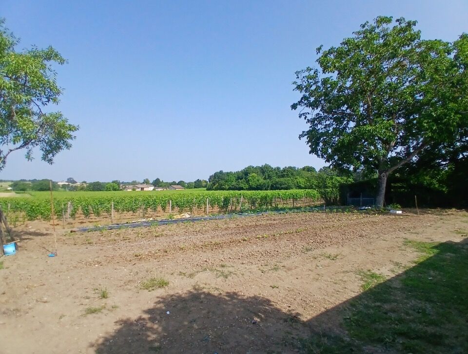  Land in Gironde, France No. 345524