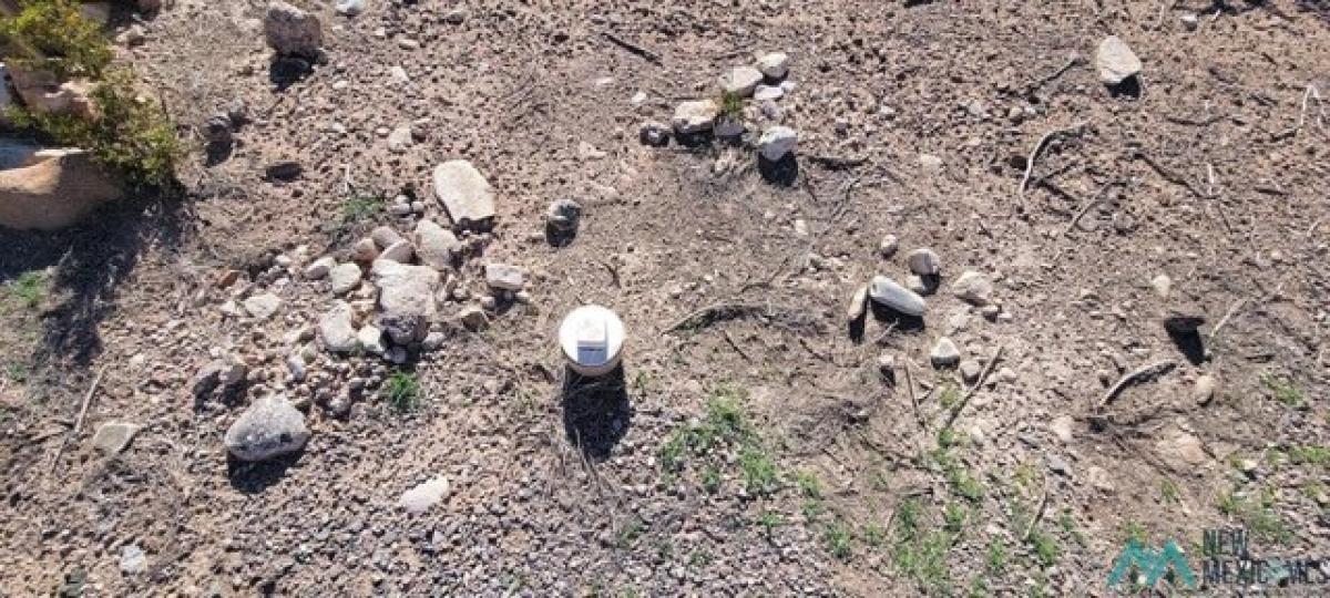 Земельный участок в Кабальо, США № 484109