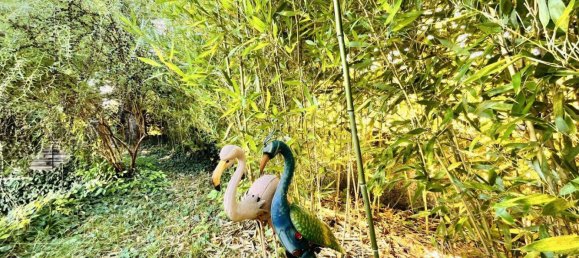 6غرفة منزل في Klosterneuburg, Austria رقم 259963 16