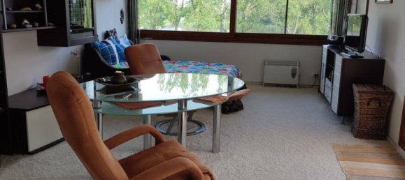 Studio in Purbach am Neusiedler See, Austria No. 183265 4