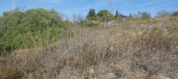 Terrain à Luz, Portugal No. 52652 14