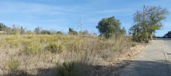 Terrain à Luz, Portugal No. 52652 15