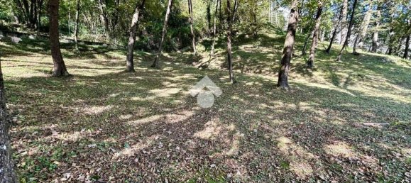 6 rooms Villa in Ranzanico, Italy No. 14940 30