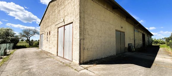 Склад 725м² в Мекленбургское Поозёрье, Германия № 270138 8