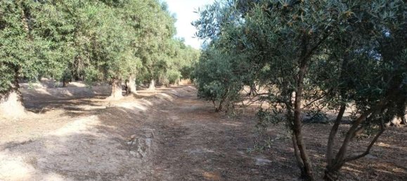 Grundstück in Granada, Spain, Nr. 153129 2