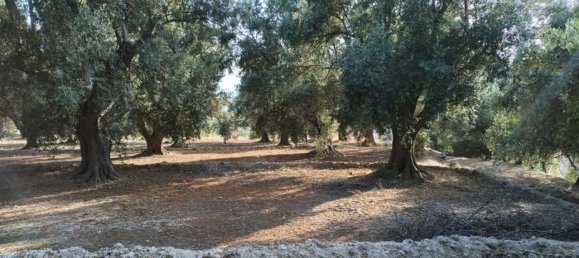 Grundstück in Granada, Spain, Nr. 153129 3