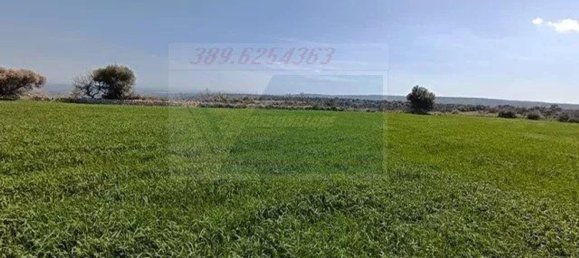 Studio in Canicattini Bagni, Italy, Nr. 143927 46