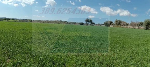 Studio in Canicattini Bagni, Italy, Nr. 143927 31