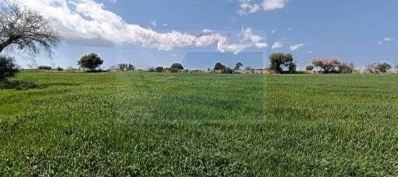 Studio in Canicattini Bagni, Italy, Nr. 143927 49